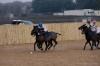 Oxford Polo 2022_12_11 0079